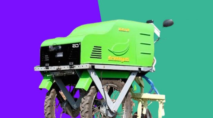 What Is This Big Innovation: The Electric Bull? innovation electric bull
