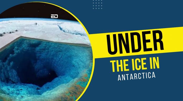 All About The “Hidden World” Found In Antarctica By A Group Of Scientists antarctica