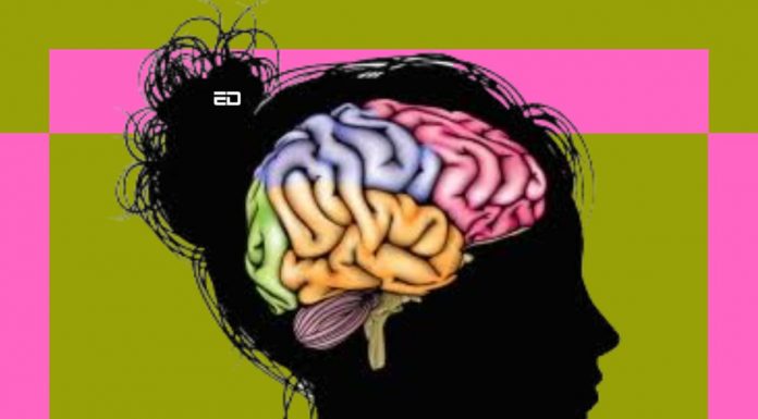 How Anorexia Could Change The Structure Of Your Brain anorexia