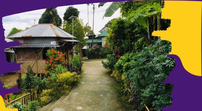 Mawlynnong In Meghalaya: The Cleanest Village In Asia Known As God’s Own Garden meghalaya