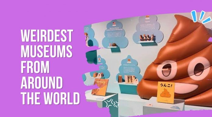 Watch: Five Weirdest Museums From Around The World museums