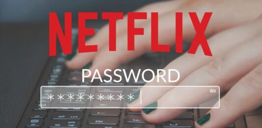 netflix password crackdown