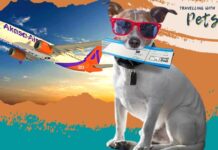 indian airline akasa pets