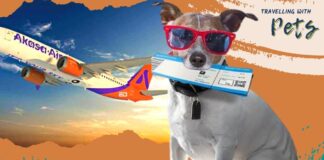 indian airline akasa pets