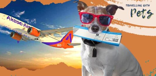 indian airline akasa pets