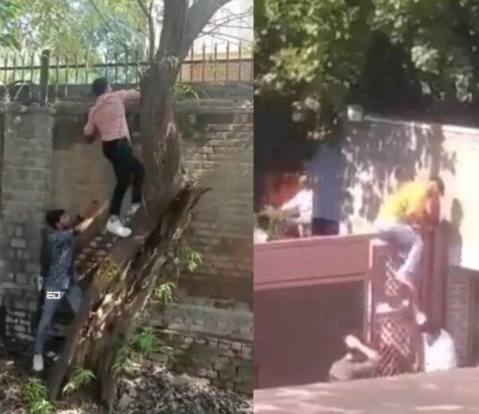 मिरांडा हाउस के उत्सव में पुरुष कथित तौर पर टटोलते हैं: “दिल्ली विश्वविद्यालय को संभलने की जरूरत है” miranda house