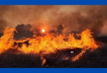 stubble burning