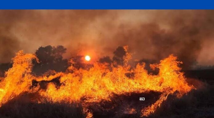 This Punjab Village Is Completely Free From Stubble Burning stubble burning