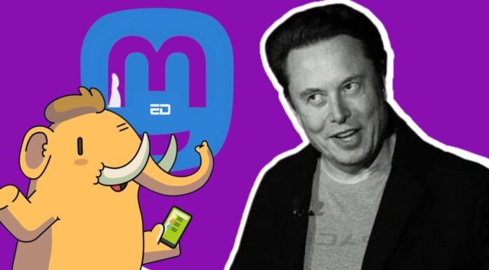 This Social Media App Gains Popularity As A Rival Of Musk Acquired Twitter twitter