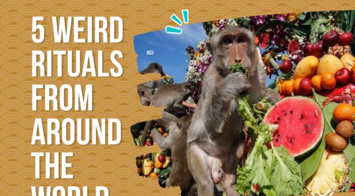 Watch: Five Weird Rituals From Around The World weird rituals
