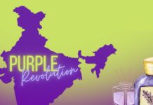 purple revolution