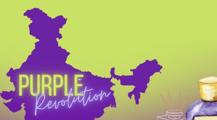 What Is The Purple Revolution Of India? purple revolution
