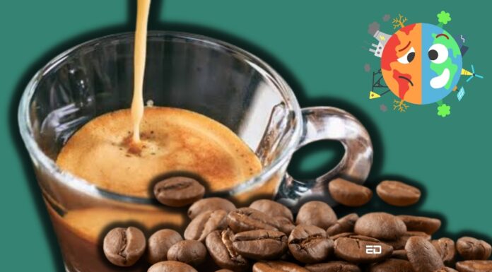 Your Cup Of Coffee Can Contribute To Climate Change, Here’s How coffee