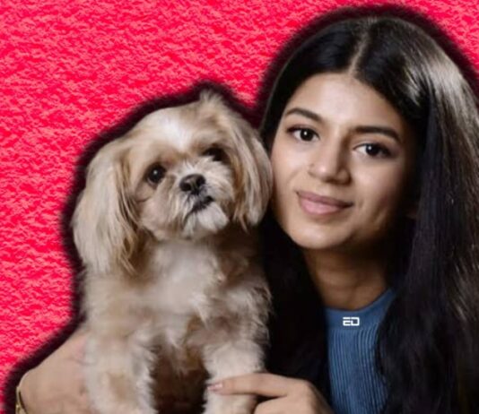 animals better companions