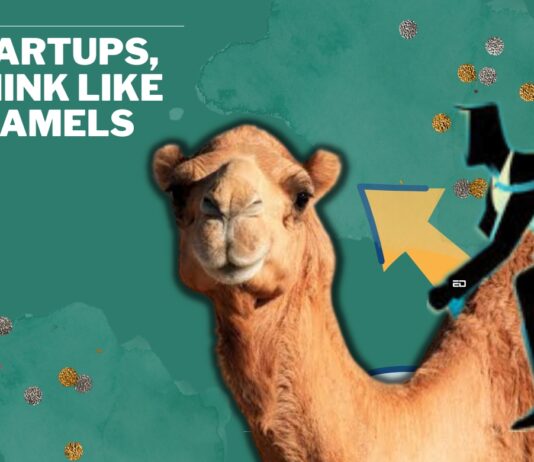 camels unicorns