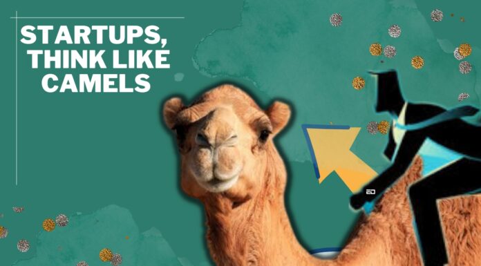 हार्वर्ड बिज़नेस रिव्यु लिखता है- यूनिकॉर्न ख़तम, कैमल स्टार्टअप शुरू camels unicorns