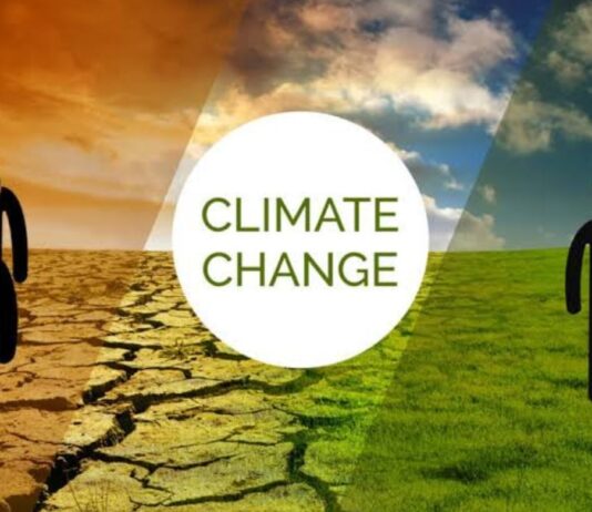 climate top 50 india