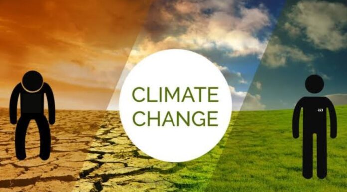 рдЬрд▓рд╡рд╛рдпреБ рдЬреЛрдЦрд┐рдо рдХрд╛ рд╕рд╛рдордирд╛ рдХрд░рдиреЗ рд╡рд╛рд▓реЗ рджреБрдирд┐рдпрд╛ рдХреЗ рд╢реАрд░реНрд╖ 50 рдХреНрд╖реЗрддреНрд░реЛрдВ рдореЗрдВ рдпреВрдкреА, рдмрд┐рд╣рд╛рд░ рд╢рд╛рдорд┐рд▓ рд╣реИрдВ climate top 50 india