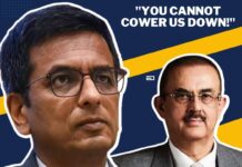 CJI Chandrachud Shouts