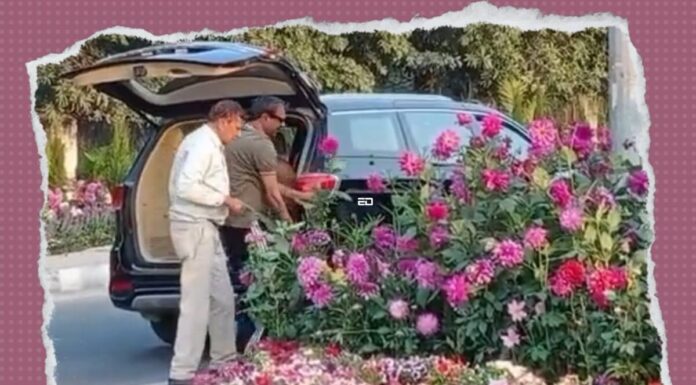 एसयूवी में G20 के फूलदान चोरी; नागालैंड के मंत्री ने प्रफुल्लित करने वाले कैप्शन के साथ मज़ाक उड़ाया Nagaland Minister g20 flower pot