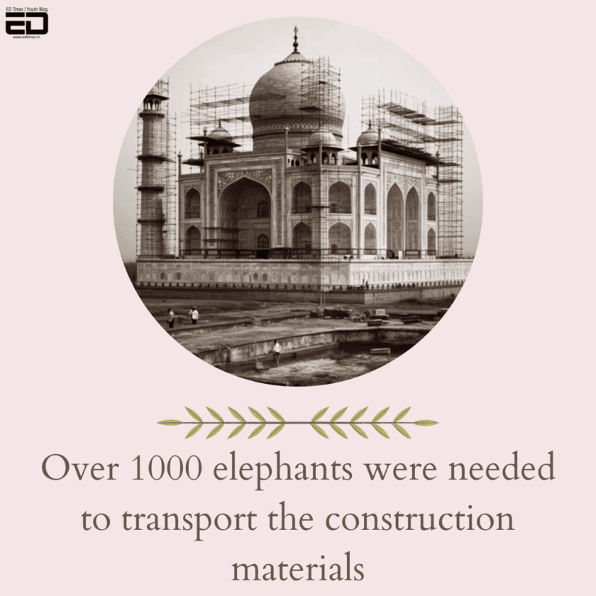 In Pics: AI's Creation Of Taj Mahal's Construction Images
