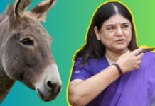 maneka gandhi