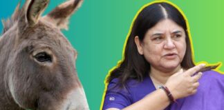 maneka gandhi