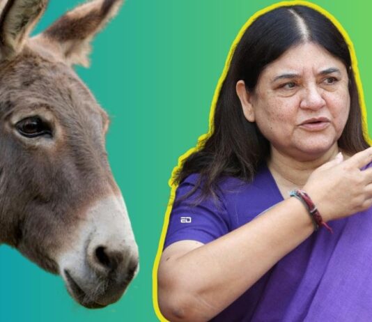 maneka gandhi