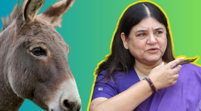 рдореЗрдирдХрд╛ рдЧрд╛рдВрдзреА рдиреЗ рдорд╣рд┐рд▓рд╛рдУрдВ рдХреЛ рдЦреВрдмрд╕реВрд░рддреА рдмрдврд╝рд╛рдиреЗ рдХреЗ рд▓рд┐рдП рджреА рдпреЗ рдЕрдЬреАрдмреЛрдЧрд░реАрдм рд╕рд▓рд╛рд╣ maneka gandhi