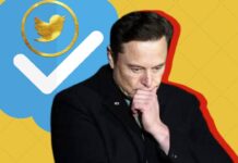 Elon Musk Blue Ticks