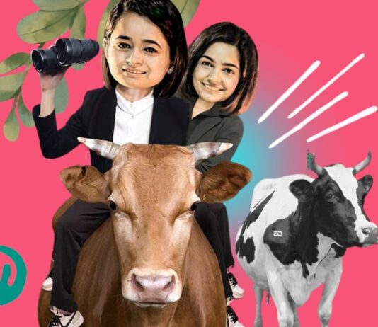 आईआईटी दिल्ली रूमेट्स ने लॉन्च किया कैटल ट्रेडिंग ऐप; 565 करोड़ रुपए का राजस्व खर्च किया cattle