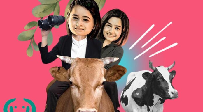 IIT Delhi Roomates Launch Cattle Trading App; Incurs Revenue Of Rs. 565 Crores cattle