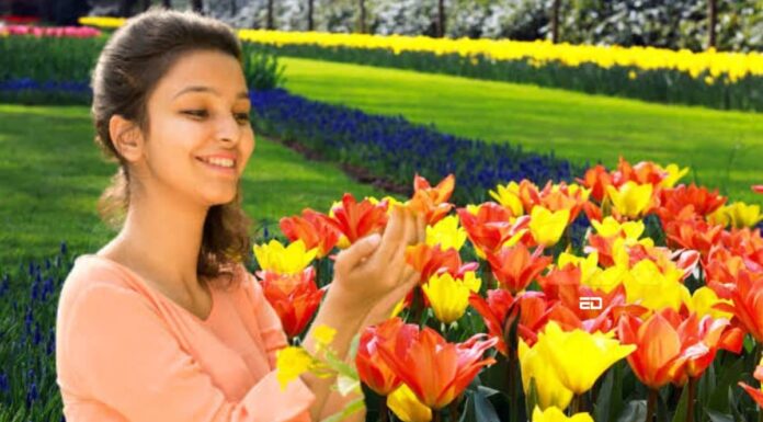 ब्रेकफास्ट बैबल: यहां बताया गया है कि मुझे वसंत का मौसम क्यों पसंद है spring