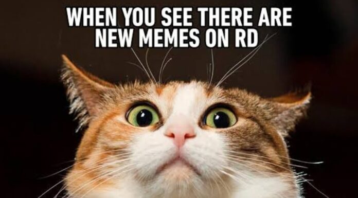 Breakfast Babble: Why I Believe Meme Culture Is Offensive meme culture