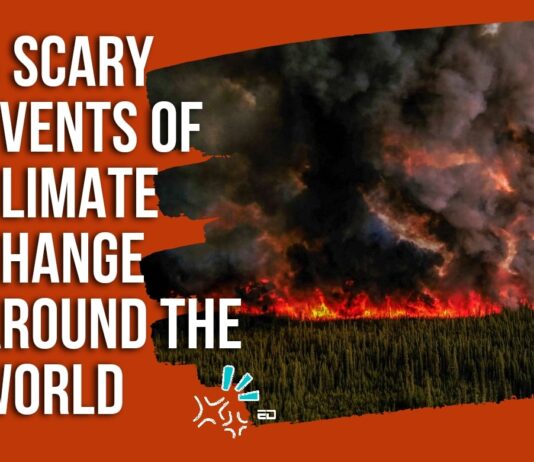 Watch: Five Scary Events Of Climate Change Around The World