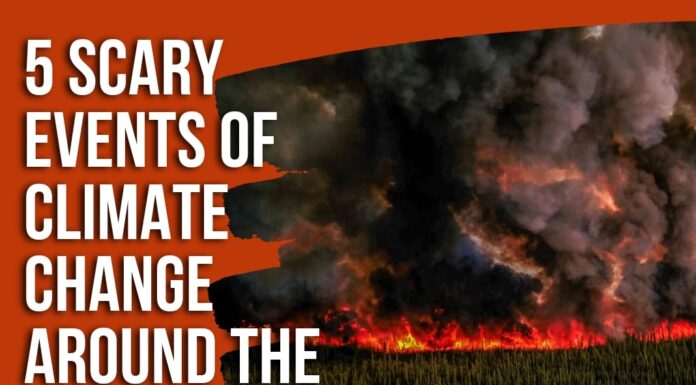 Watch: Five Scary Events Of Climate Change Around The World