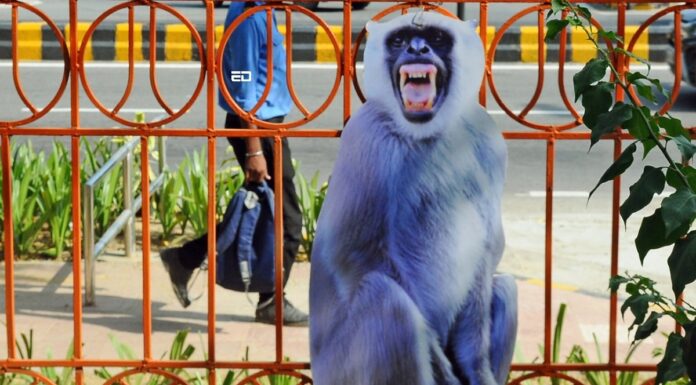 G20 Preps: Snipers, Langur Cutouts, Missiles And What Not