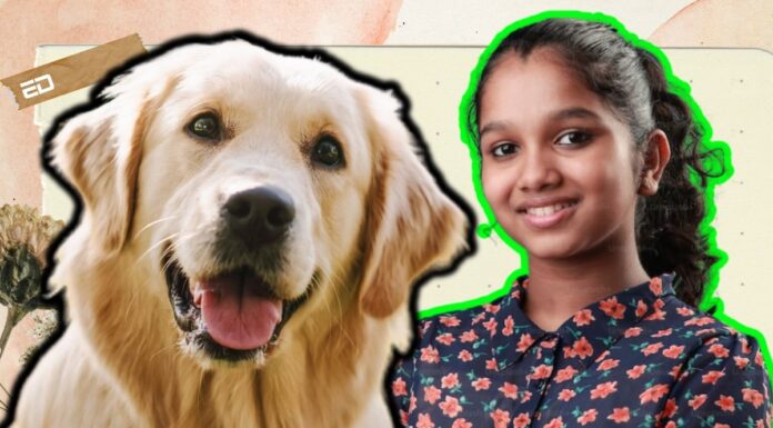 Breakfast Babble: Getting A Pet Is The Best Decision I Ever Made