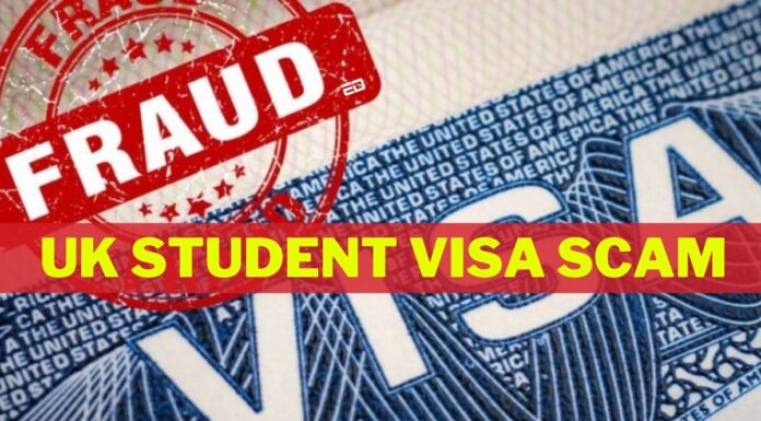 Rise In Education And Student Visa Scams; Here Are The Details student visa