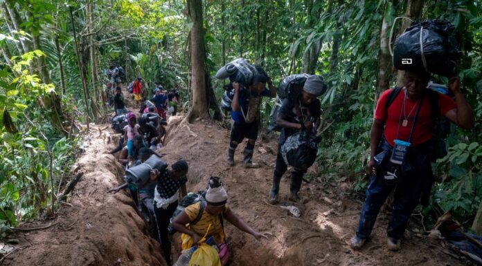डंकी इन्फ्लुएंसर: वे एक अवैध और खतरनाक विषय के बारे में सामग्री बनाते हैं dunki influencers