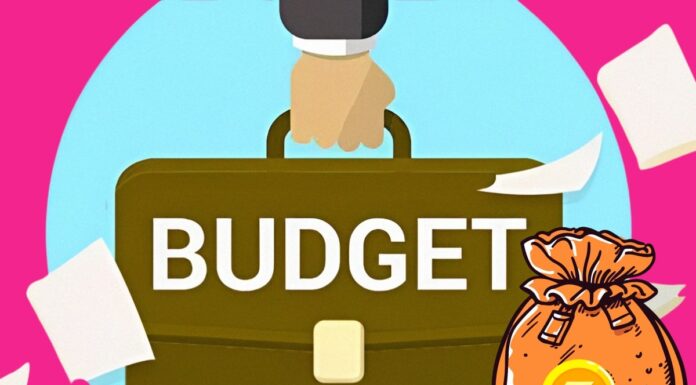 डिमिस्टिफ़ायर: वे सभी शब्द जो आपको बजट से पहले जानना आवश्यक हैं budget