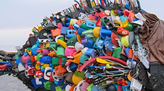 Is This Plastic Eating Mold A Breakthrough In Saving The Environment? plastic