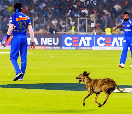IPL Game