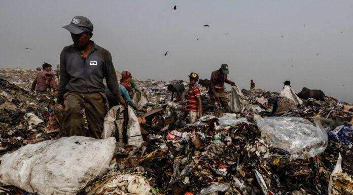 Not Everything’s Bad About The Ghazipur Landfill; Top Garbage-To-Use Initiatives Ghazipur