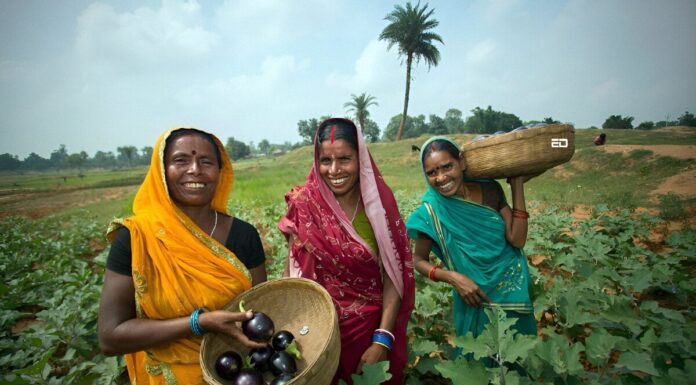 рд░рд┐рд╕рд░реНрдЪрдб: рдХрд┐рд╕рд╛рди рджрд╛рд▓реЗрдВ рдХреНрдпреЛрдВ рдирд╣реАрдВ рдЙрдЧрд╛рдирд╛ рдЪрд╛рд╣рддреЗ? farmers