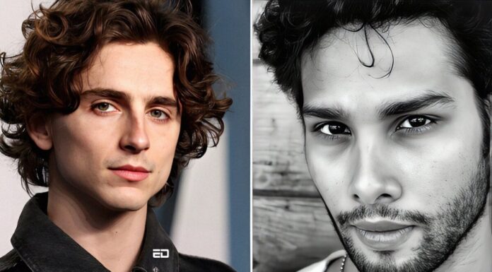 Do You Know About This Latest тАШHot RodentтАЩ Trend? hot rodent