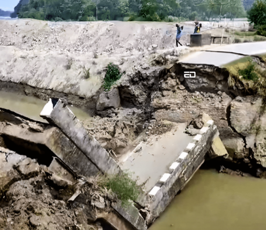 बिहार में 15 दिनों में 10 पुल ढह गए: जनहित याचिका में पूछा गया कि गलत क्या है? bihar