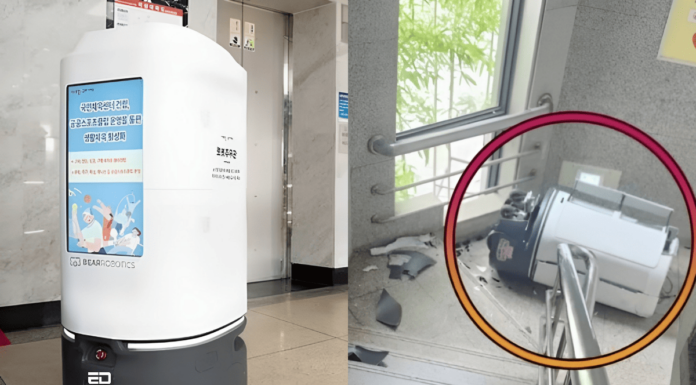 Depressed Robot’s Death By Suicide In South Korea Triggers Probe robot