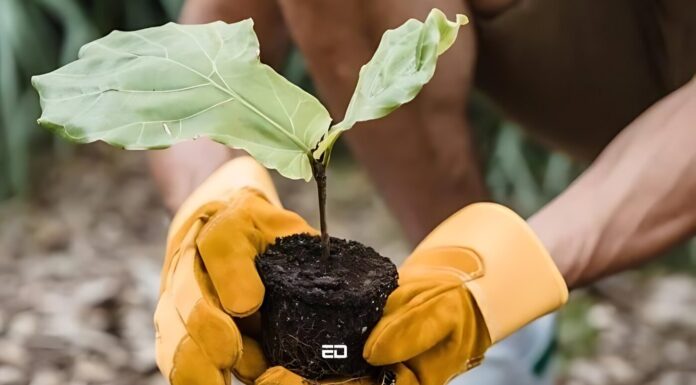 Have You Ever Taken A тАШVolunteer Trip?тАЩ HereтАЩs What It Means Volunteer trip