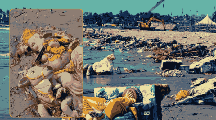 Plaster Of Paris Ganesh Idols: Vishakhapatnam’s Environmental Destruction Ganesh Idols